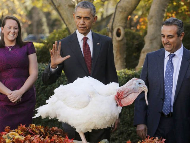 Tổng thống Mỹ Barack Obama xá tội cho gà tây trong vườn Hồng tại Nhà Trắng trong dịp lễ Tạ Ơn năm nay. Nhà Trắng đã duy trì truyền thống Tổng thống Mỹ xá tội cho gà tây vào dịp lễ Tạ Ơn bắt đầu từ năm 1947, dưới thời tổng thống Harry Truman, theo Nhà Trắng.