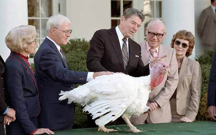 "Vào vườn bách thú sống nhé!" - cựu Tổng thống Mỹ Ronald Reagan xá tội cho con gà tây có tên là Charlie và gửi nó tới một vườn bách thú vào năm 1987.
