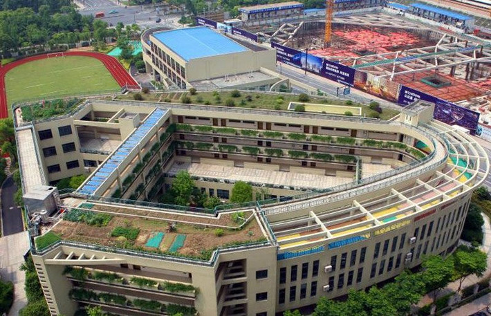 "Các giáo viên, học sinh thường trồng các loại rau như cà chua, khoai tây và dưa chuột trên nóc trường học để giúp học sinh gần gũi hơn với thiên nhiên", một giáo viên trong trường cho hay.