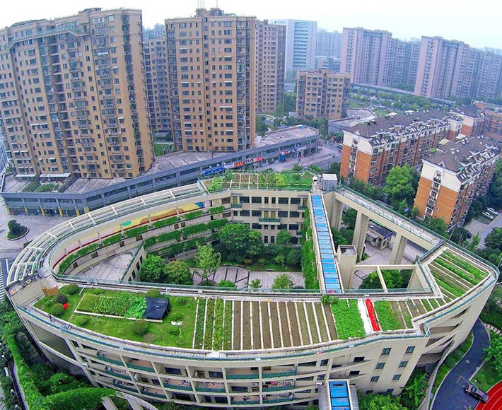  Trang trại rau hữu cơ trên mái này có diện tích hơn 2000 m2 và trồng chủ yếu các loại rau hữu cơ, các loại trái cây từ bí ngô đến lựu,... Vì là trang trại hữu cơ nên tất cả những nông sản trong trang trại này đều không sử dụng thuốc trừ sâu hóa học.