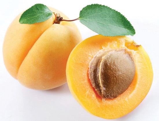Quả mơ. Thịt lợn và mỡ lợn rất kỵ khi ăn cùng quả mơ. Quả mơ tính chua, liễm, thịt mỡ lợn tính ngọt lạnh. Nếu chẳng may ăn phải sẽ sinh ra tả lỵ.