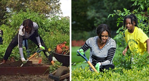 Vườn rau của gia đình Tổng thống Barack Obama Đi qua cánh cổng và vườn hồng trong Nhà Trắng là một sân chơi và khu đồi thấp với một một khu vườn rau sạch, xanh mướt. Khu vườn rau sạch trong Nhà Trắng đã được Đệ nhất phu nhân nước Mỹ Michelle Obama bắt đầu trồng vào mùa xuân năm 2009 với mong muốn có thể có những bữa ăn nhiều rau tươi cho gia đình mình. Ý tưởng này cũng nằm trong chiến dịch chống tình trạng béo phì ở trẻ em được bà phát động cách đó 3 năm.