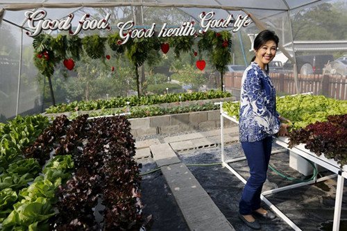 Trong khu vườn nhỏ xinh, bà còn treo tấm biển in dòng chữ: "Good food, good health, good life" (Thực phẩm sạch, sức khỏe tốt, cuộc sống tươi đẹp). Dòng chữ này cũng đã nói lên quan điểm của bà trong việc đề cao việc trồng được các thực phẩm sạch, không gây nguy hại đến sức khỏe con người. Được biết, bà thường xuyên dành thời gian chăm sóc cho vườn rau của mình và con trai bà cũng khá ủng hộ sở thích của mẹ. Trên trang cá nhân Facebook, bà Yingluck Shinawatra cũng thường xuyên khoe ảnh đi chăm sóc rau và nhận được nhiều lượt thích của cư dân mạng.