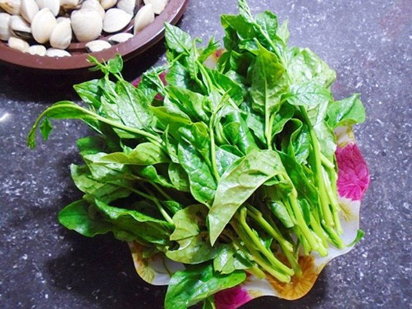 Theo các nghiên cứu cho thấy, trong mồng tơi chứa chất nhầy pectin rất quý để phòng chữa nhiều bệnh, làm cho rau mồng tơi có tác dụng nhuận tràng, thải chất béo chống béo phì, thích hợp cho người có mỡ và đường cao trong máu. Tác dụng trừ thấp nhiệt, làm cho người lao động ngoài trời nắng nóng duy trì được sức khỏe, phòng chống bệnh tật như mỏi mệt háo khát, bứt rứt.