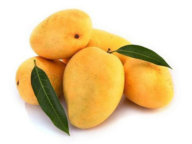 Xoài Kesar không chỉ được ưa chuộng tại Ấn Độ mà còn được xuất khẩu sang nhiều nước khác, trong đó có Mỹ.