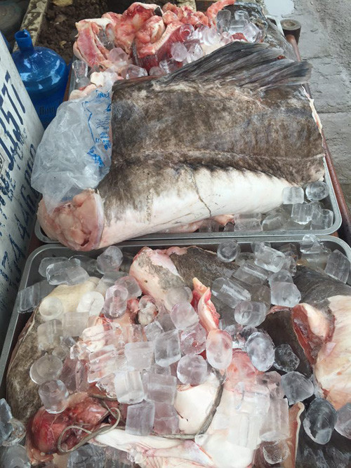 Tại Việt Nam, ngư dân cũng từng đánh bắt được cá lăng thuộc loại “khủng”. Chiều 8/6/2016, ông Nông Văn Mế (thị trấn Ea TLing, huyện Cư Jút, tỉnh Đăk Nông) phát hiện con cá lăng lớn mắc câu trên sông Sêrêpôk. Sau gần hai giờ vật lộn, ông và cậu con trai mới đưa được con cá lăng đuôi đỏ gần 50 kg, dài hơn 1,7 m lên thuyền. Con cá "khủng" sau đó được ông Mế đem bán cho nhà hàng ở thành phố Buôn Ma Thuột, tỉnh Đăk Lăk với giá 20 triệu đồng. Chủ nhà hàng cho biết, đã xẻ thịt cá bán với giá khoảng từ 450 đến 480.000/1 kg. Gần đây nhất, sáng 11/7/2016, thợ câu tên Huy (xã Cư Pô, huyện Cư Jút, tỉnh Đắk Nông) cũng câu được cá lăng nặng gần 40 kg trên sông Sêrêpốk. Sau khi mang về, anh Huy đã bán cho nhà hàng ở huyện Cư Jút. Nhà hàng này sau đó đã xẻ thịt bán cho khách với giá 450.000-500.000 đồng/kg.