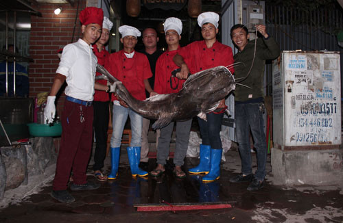 Anh Nguyễn Hồng Thái, chủ nhà hàng ở quận Cầu Giấy cho biết, ngày 8/11, một người bạn làm việc ở Campuchia đã thông tin có một ngư dân đánh bắt được một con cá lăng đen “khủng” ở sông Mê Kông (đoạn chảy qua Campuchia). Ngay sau đó, anh Thái đã liên hệ với ngư dân đặt mua con cá này. Tối 9/11, cá lăng được chuyển bằng đường hàng không từ Campuchia về Hà Nội. “Con cá lăng dài hơn 2m, nặng 75kg, được mua với giá hơn 60 triệu đồng. Ngay trong đêm, chúng tôi đã thịt cá để kịp thời phục vụ hành khách”, anh Thái thông tin.