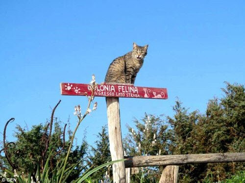 Tất cả các chuyến du lịch tới Sardinia đều miễn phí nhưng du khách phải đặt trước ít nhất 1 tuần. Trong vòng 3 năm qua, hàng nghìn du khách đã tới tham quan hòn đảo này.