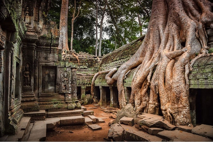 Ngôi đền Angkor tại Campuchia. Ảnh: Petro Bevilacqua.