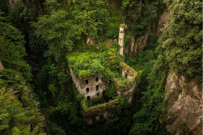 Một nhà máy cũ tại Sorrento, Italy gần như bị cây xanh xâm lấn. Ảnh: Jason Wallace.