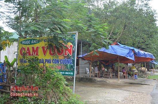 Điều khiến các hộ trồng cam vùng Bãi Phủ lo lắng là hiện nay nhiều người lợi dụng danh tiếng cam Bãi Phủ trộn lẫn với các loại cam chất lượng thấp khác nhằm kiếm lời gây ảnh hưởng đến uy tín cam Bãi Phủ. Thậm chí có những người còn treo biển "cam vườn Bãi Phủ" dù không có diện tích của cây trồng này.