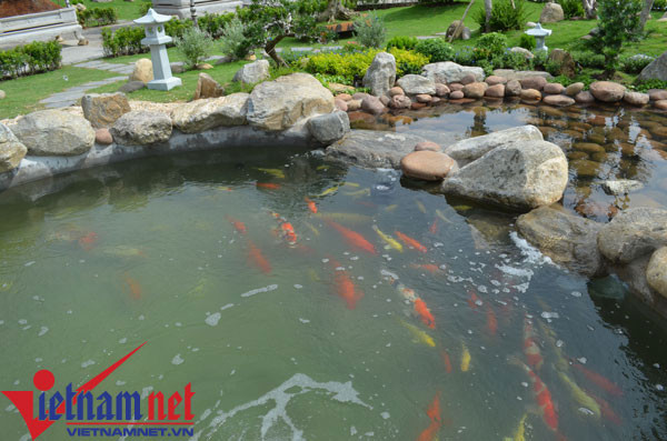 Tiểu cảnh được Hoài Linh khá chăm chút với hòn non bộ và rất nhiều cá vàng.
