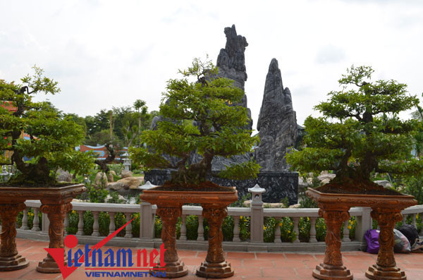 Cây cảnh trong khuôn viên nhà thờ Tổ với nhiều chủng loại với số tiền hàng vài chục tỉ, tuy nhiên, một số cũng là do đệ tử của anh dâng cúng.