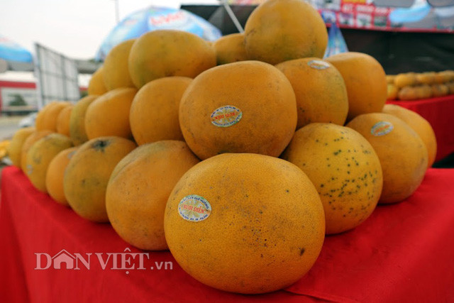 Mang vị ngọt, thơm mát thanh khiết riêng, bưởi Diễn nổi tiếng cả nước, được đông đảo người tiêu dùng ưa chuộng. Loại trái cây đặc sản của Thủ đô này ngon đến độ nhiều người ví von, “ăn một lại muốn ăn hai, ăn xong một quả đến mai lại thèm”…Mỗi dịp Tết về, thị trường bưởi Diễn luôn nhộn nhịp, sôi động.
