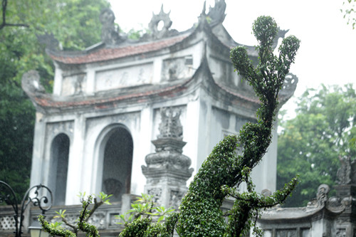 Đuôi hướng lên phía trên và có 3 nhánh.