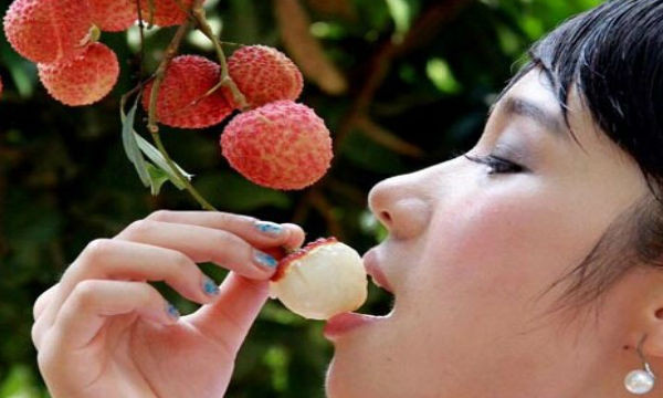 Lưu ý khi ăn vải. Do vải có thể tăng cường khả năng miễn dịch, do đó có thể làm tăng các triệu chứng của bệnh tự miễn dịch như bệnh đa xơ cứng, lupus, viêm khớp dạng thấp. Vì vậy, nếu bạn đang gặp phải những căn bệnh này, hãy thận trọng khi ăn vải, tốt nhất nên hỏi ý kiến của bác sĩ trước khi ăn.