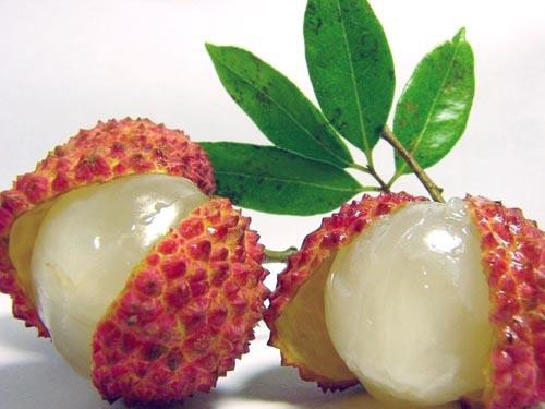 Phẫu thuật: Do tác dụng giảm lượng đường trong máu, nhiều chuyên gia lo ngại vải có thể ảnh hưởng đến đường huyết trong và sau phẫu thuật. Do vậy, bạn nên ngừng ăn vải ít nhất 2 tuần trước khi phẫu thuật.