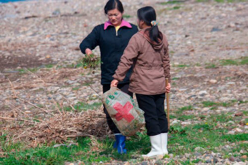 Vào ngày cuối cùng tại ngôi làng Jung Pyong Ri, nhiếp ảnh gia Lafforgue đã tế nhị đưa tiền cho chủ nhà, nhưng họ từ chối. Sau đó, họ chụp ảnh chung với nhau để làm kỷ niệm trước khi chia tay.