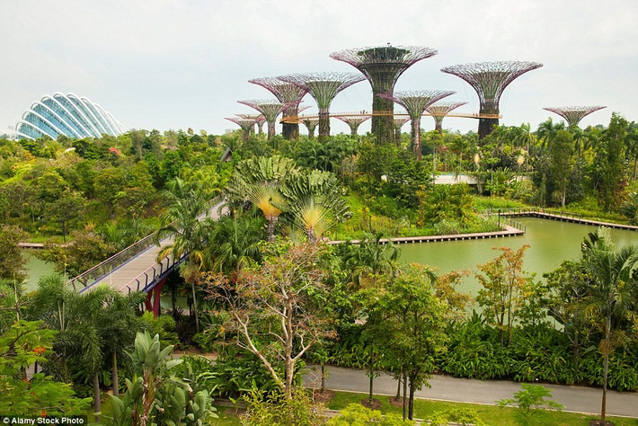 Gardens by the Bay, Singapore: Khu vườn ấn tượng này giống như một công viên giải trí, với các lối đi trên cao, vườn thẳng đứng... Toàn bộ vườn được thiết kế theo mô hình bền vững. Ví dụ, hai hồ nước chính là hồ Dragonfly và Kingfisher vừa tạo thành hệ thống lọc tự nhiên để lấy nước dùng cho các khu khác của vườn, vừa là điểm tham quan hấp dẫn.