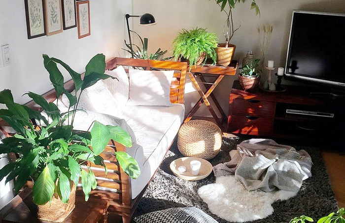 Phòng khách được bố trí thêm cây xanh ở hai bên. Sắc xanh tươi luôn là điểm nhấn giúp không gian chức năng nhỏ nhắn thêm sức sống mới.