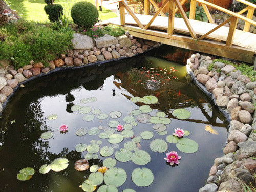Những cánh hoa nhiều màu sắc cùng khu vườn nhỏ là nơi gia đình chị thư giãn sau những thời gian làm việc căng thẳng.