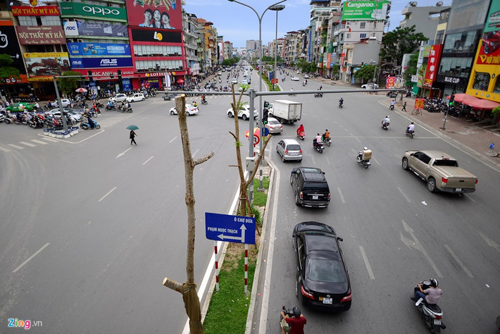 Các tuyến phố được trồng cây phượng chủ yếu như Láng Hạ, Ô Chợ Dừa, Xã Đàn, Đại Cồ Việt... Theo lãnh đạo Công ty TNHH Một thành viên Công viên cây xanh Hà Nội, việc thực hiện trồng cây mới ở tất cả những vị trí đất nào trống mà có thể trồng cây đảm bảo sinh trưởng tốt, thay thế bổ sung đồng bộ những cây sâu mục.
