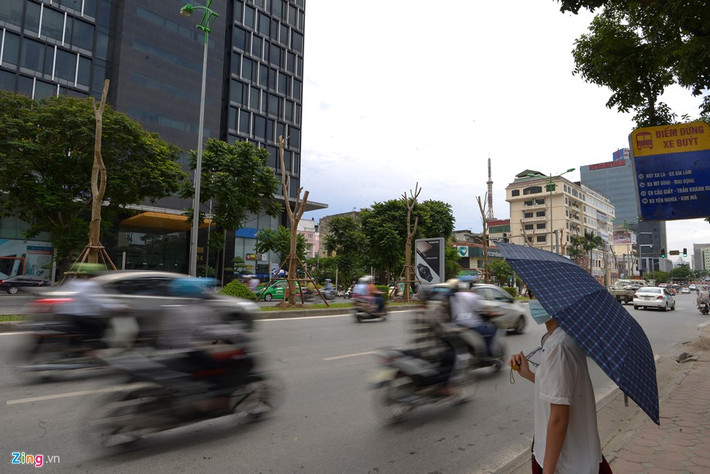 Trong kế hoạch giai đoạn 2016 - 2020, Hà Nội đặt mục tiêu có thêm 1 triệu cây xanh.