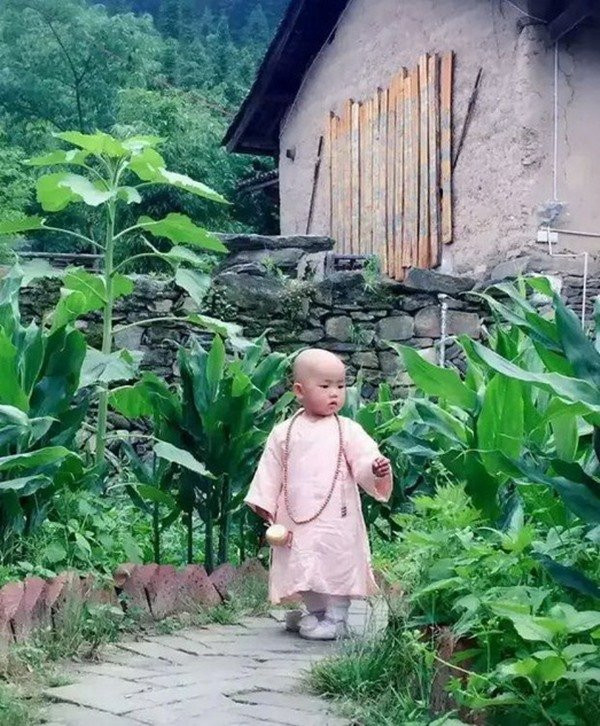 Từ khi sinh ra, Tiểu Nghệ Mặc đã sống trên núi. Ngoài bố mẹ, cô bé rất ít khi tiếp xúc với người khác.