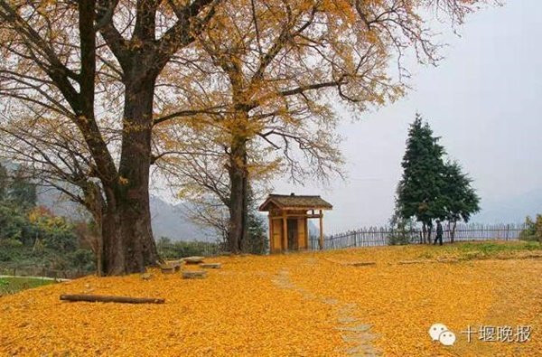 Ngôi nhà nhỏ trên sườn núi có vườn rau, chuồng gà.