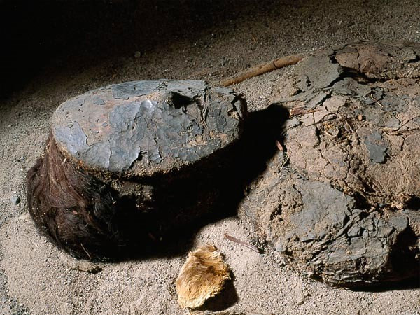 Một xác chết vẫn còn nguyên da, tóc và quần áo được chôn ở sa mạc Atacama. Theo nghiên cứu mới của các nhà khoa học, xác chết tự nhiên mất nước kiểu này có thể đã tạo cảm hứng cho người Chichorro cổ đại tích cực ướp xác trong thời kỳ bùng nổ dân số và phát triển văn hóa của người Chichorro cổ xưa hơn cả người Ai Cập cổ đại hàng ngàn năm.