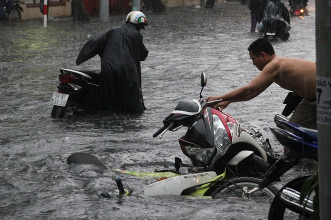 Xe đổ ngổn ngang trên đường phố.