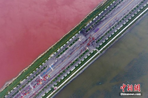 May mắn thay, do hồ muối được ngăn cách bởi 1 tuyến đường bộ nên hiện tượng tảo nở hoa chỉ xảy ra tập trung ở một hồ nhỏ và không lan ra các hồ lân cận.
