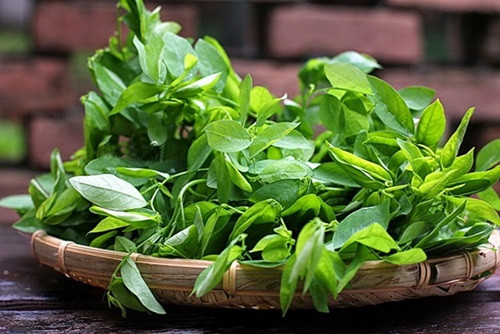 Cách chọn rau ngót sạch, an toàn. Lá rau ngót: Bạn nên chọn rau ngót có lá mỏng nhưng cứng. Tuyệt đối không nên mua lá rau ngót dầy mềm, hoặc lá xoăn lại, bất thường. Đó có thể là rau ngót có phun thuốc bảo vệ thực vật.
