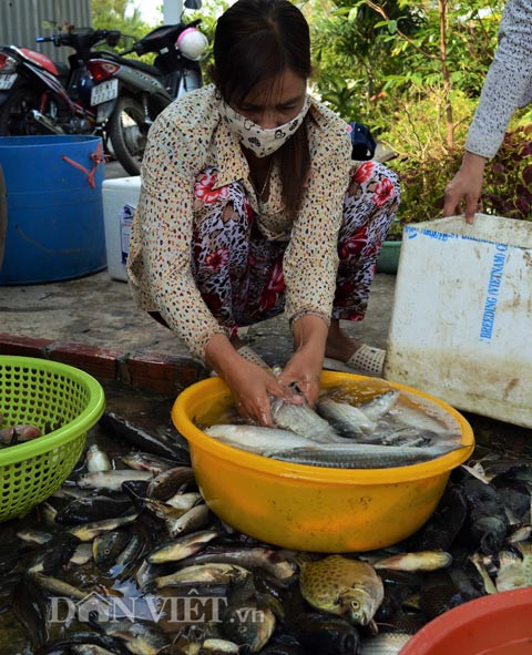 Rồi rửa sạch để đem ra chợ bán.