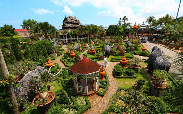 Khu vườn được đặt theo tên của người chủ sở hữu đầu tiên, Nongnooch Tansacha. Năm 1954, ông Pisit và bà Nongnooch Tansacha đã mua quả đồi rộng 2,4 km2 với mục đích trồng các loại cây ăn quả như xoài, cam dừa và nhiều loại trái cây địa phương khác. Ảnh: Nongnoochtropicalgarden.