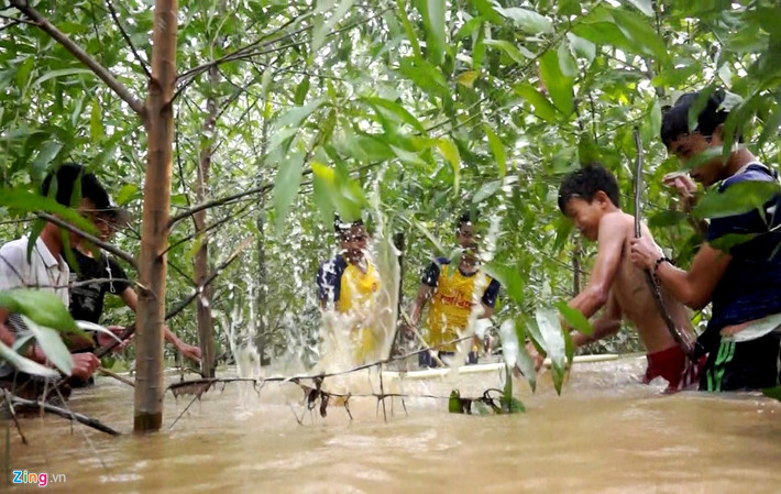 Lúc này, chuột sợ hãi rớt xuống. Nhóm người ở dưới dùng những cây gậy dài khoảng 1 m đập mạnh vào con vật.
