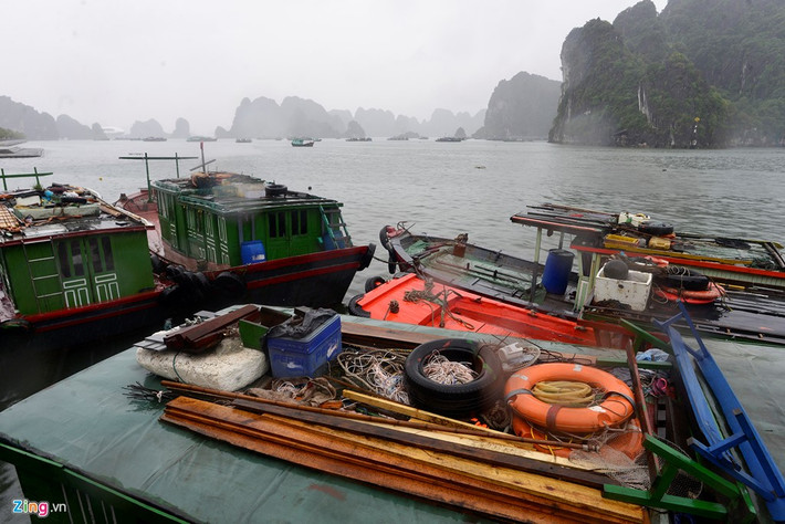 Trước đó, nhiều tàu thuyền tại khu vực Hạ Long, Bãi Cháy... được lệnh di chuyển vào các âu thuyền để tránh bão.