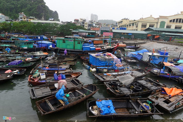 Âu thuyền dưới chân cầu Bài Thơ có hơn 100 thuyền bè neo đậu.