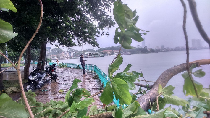 Mưa to gió lớn làm gãy cây cối nhưng không quật ngã được tinh thần của người đi câu.