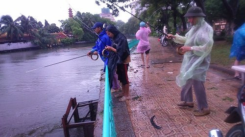 Rất nhiều người tập trung ở Hồ Tây, Hồ Trúc Bạch phía đường Thanh Niên để câu cá.
