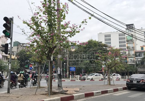 ...Nhưng cha Ban chê Khum nghèo nên đã gả cô cho con trai tạo mường vừa gù vừa lười biếng. Thấy cha cùng nhà tạo mường bàn chuyện cưới hỏi, nàng Ban chạy tìm người yêu cầu cứu. Đúng lúc chàng Khum đi xa. Tuyệt vọng, nàng Ban bèn buộc chiếc khăn piêu của mình vào cầu thang nhà Khum rồi vượt núi, vượt đèo tìm chàng. Cuối cùng, kiệt sức, nàng gục xuống chết trên núi....