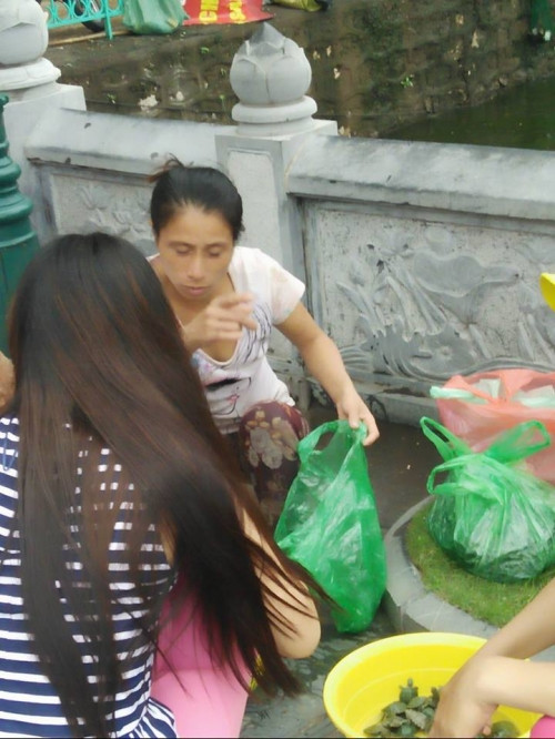 Khách chọn mua lễ vật phóng sinh, trong khi người bán hàng không ngớt lời chia sẻ "Cá vàng, ốc... được nhiều người mua. Chị cứ chọn đi em để giá rẻ". Dù thế, đáp lại lời của người bán, chị H (người mua) chia sẻ: "Gặp con gì thì mua con đó, không đặt trước, không phân biệt nhiều hay ít, lớn hay nhỏ thì mới đúng là thành tâm. Nay em gặp ốc thì em mua ốc chị à".