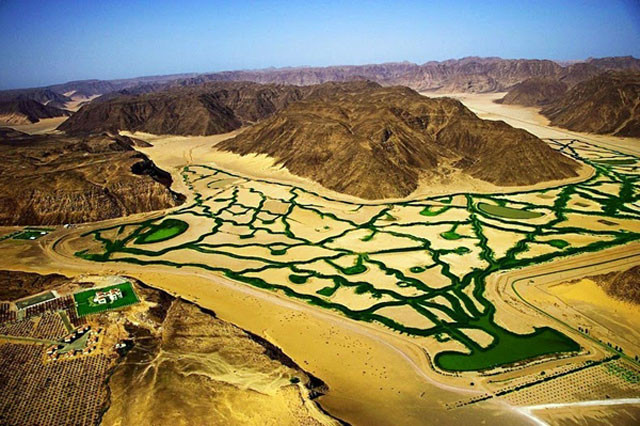 Nông trang hữu cơ Wadi Rum nằm gần biên giới Ả rập Saudi, nơi có một tầng nước ngầm lớn – nguồn nước cung cấp của nhiều quốc gia sa mạc trong vùng. Nước ngầm được lấy vào hệ thống tưới tiêu và phân phối tới gần 100 hecta đất gieo trồng của nông trại bằng vòi nước xoay.