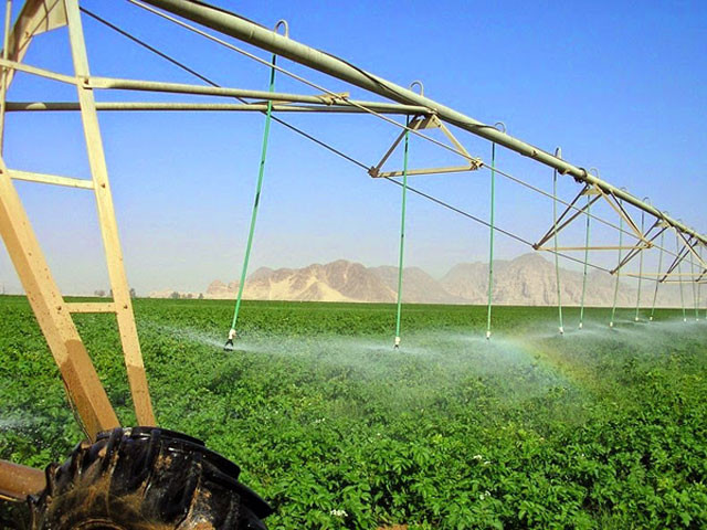 Kỹ thuật canh tác truyền thống đơn giản là dựa vào sức lao động, máy móc cơ giới, hệ thống tưới tiêu hiệu quả… Thế nhưng, với những điều kiện khắc nghiệt ở sa mạc, một nông trang cần thêm yếu tố khác để có thể tồn tại và thành công.