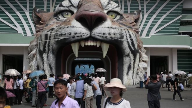 Sau hai năm tạm thời đóng cửa để tu sửa, Vườn bách thú Bình Nhưỡng đã được đưa vào hoạt động trở lại vào tháng 7 vừa qua, hãng thông tấn AP đưa tin.