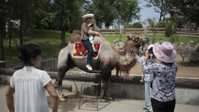 Công việc tu sửa vườn bách thú bắt đầu vào năm 2014 và hoàn tất vào tháng 7 năm nay.