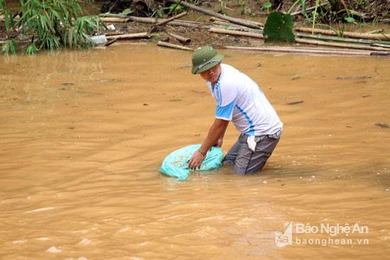 Sau khi chuẩn bị xong, bã rượu được đem ra các khe suối nơi nước đọng, nhiều lá rụng được xác định là nơi có nhiều nòng nọc để đặt bẫy. Ảnh: Đào Thọ