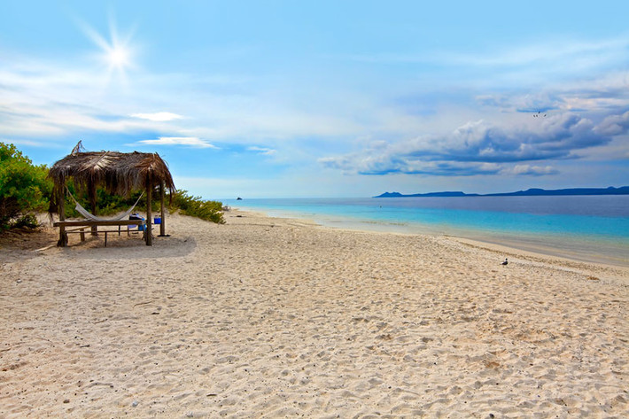 Các loại thực phẩm truyền thống độc đáo ở đảo Bonaire không thể không kể đến kỳ đà (một loài bò sát nhỏ tại địa phương), ốc xà cừ, cây xương rồng xanh, cá wahoo, tôm hùm…
