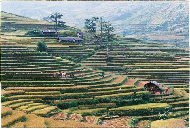 Đỉnh dốc Hai Bà Cháu là một trong những địa điểm lý tưởng để ngắm nhìn toàn cảnh thung lũng Tú Lệ.