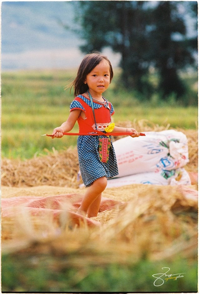 Du khách đến Tú Lệ sẽ được thưởng thức các món ăn được chế biến từ gạo nếp Tú như cốm, cháo cốm vịt, xôi nếp ngũ sắc, cơm lam, nhấp thêm chén rượu nếp trong tiếng hát mời rượu của những cô gái Thái.